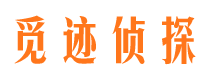 岳阳楼捉小三公司